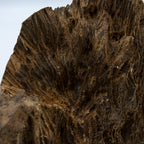 The Resinous Monolith