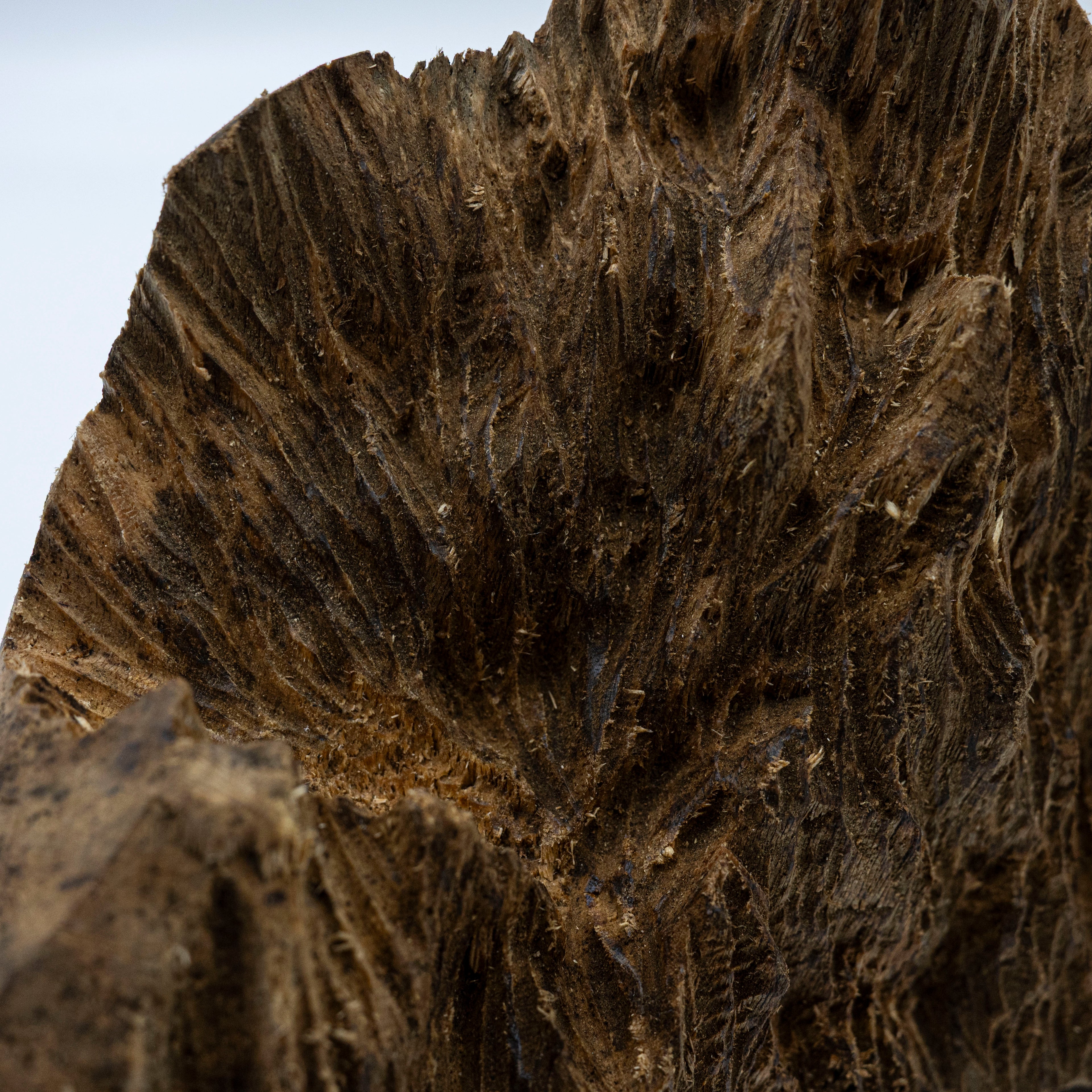 The Resinous Monolith