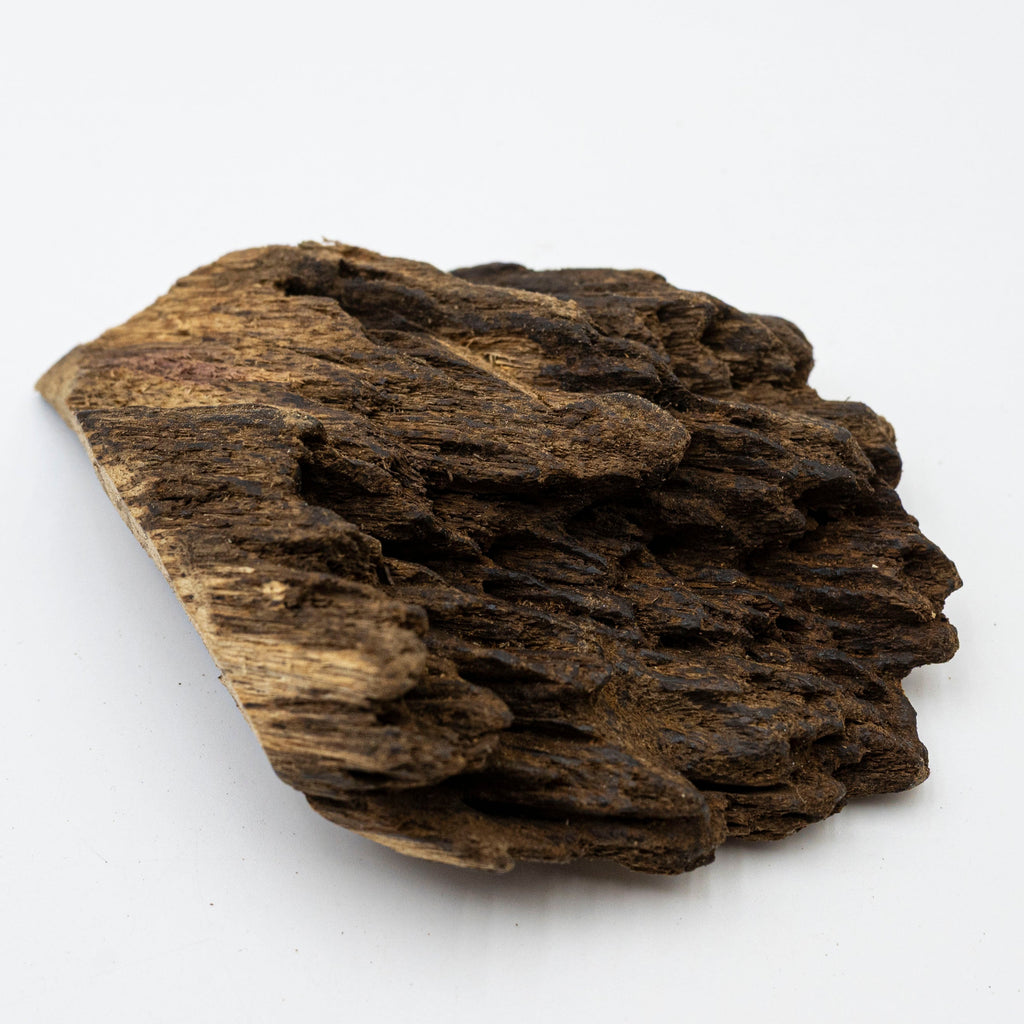 The Obsidian Core