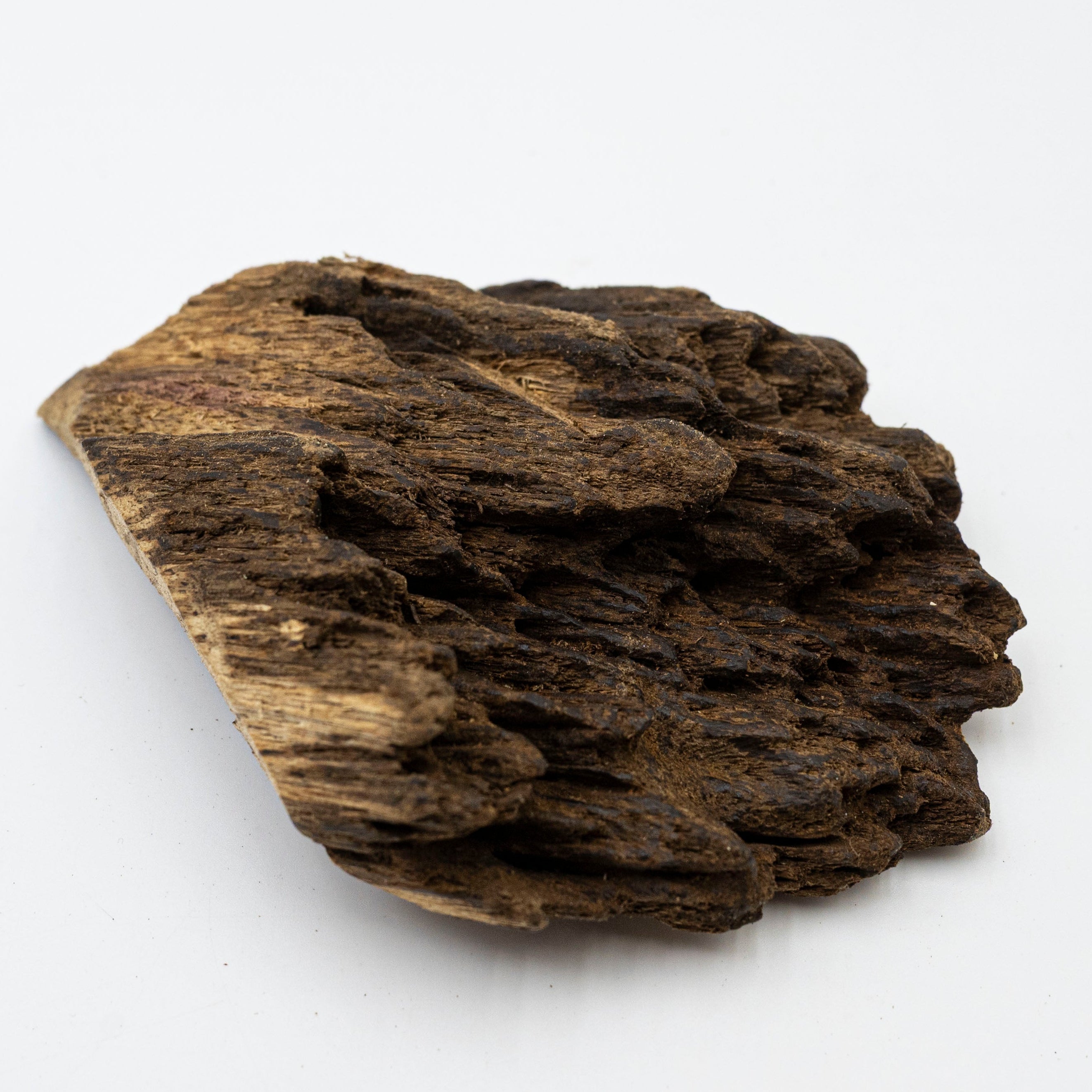 The Obsidian Core