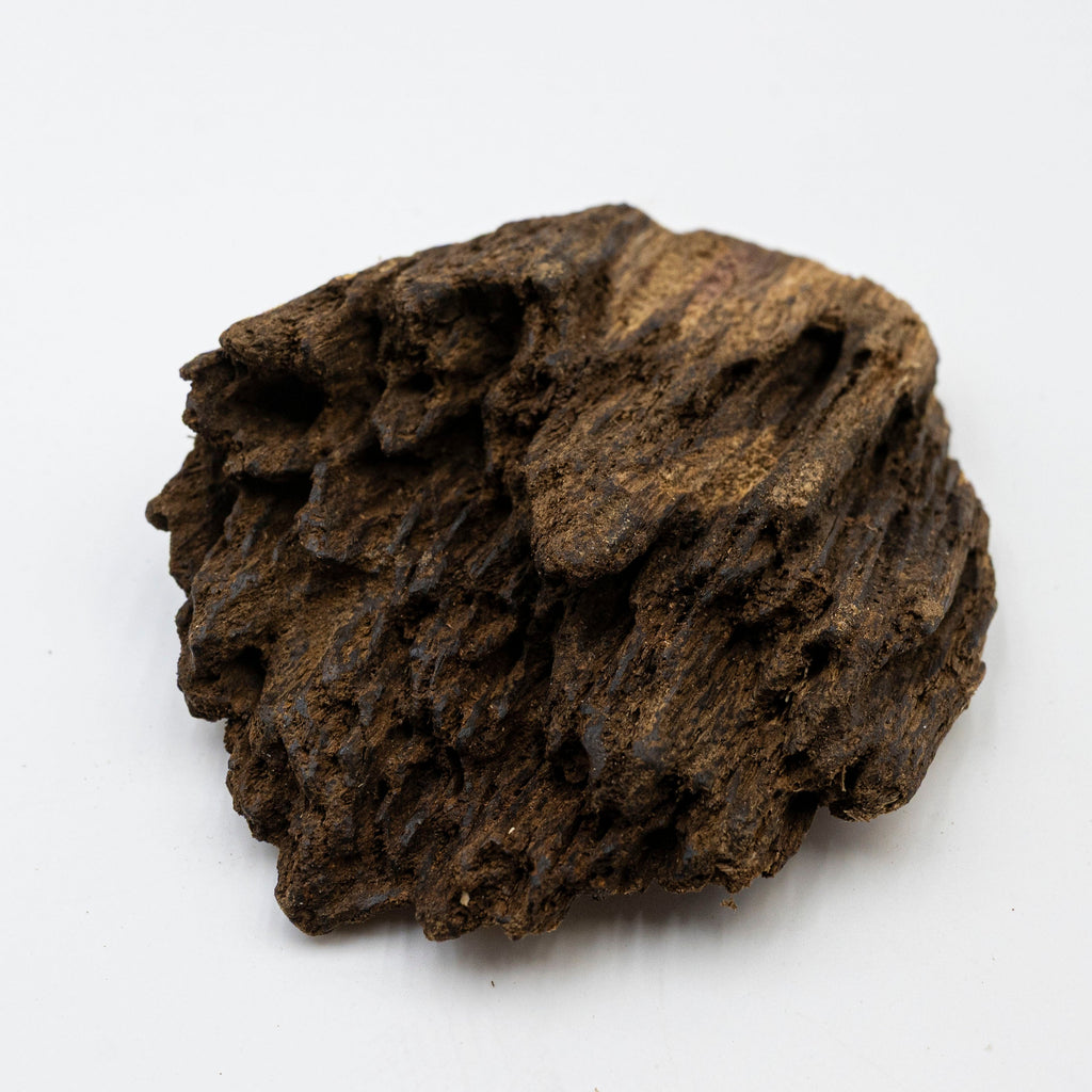 The Obsidian Core