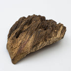 The Obsidian Core