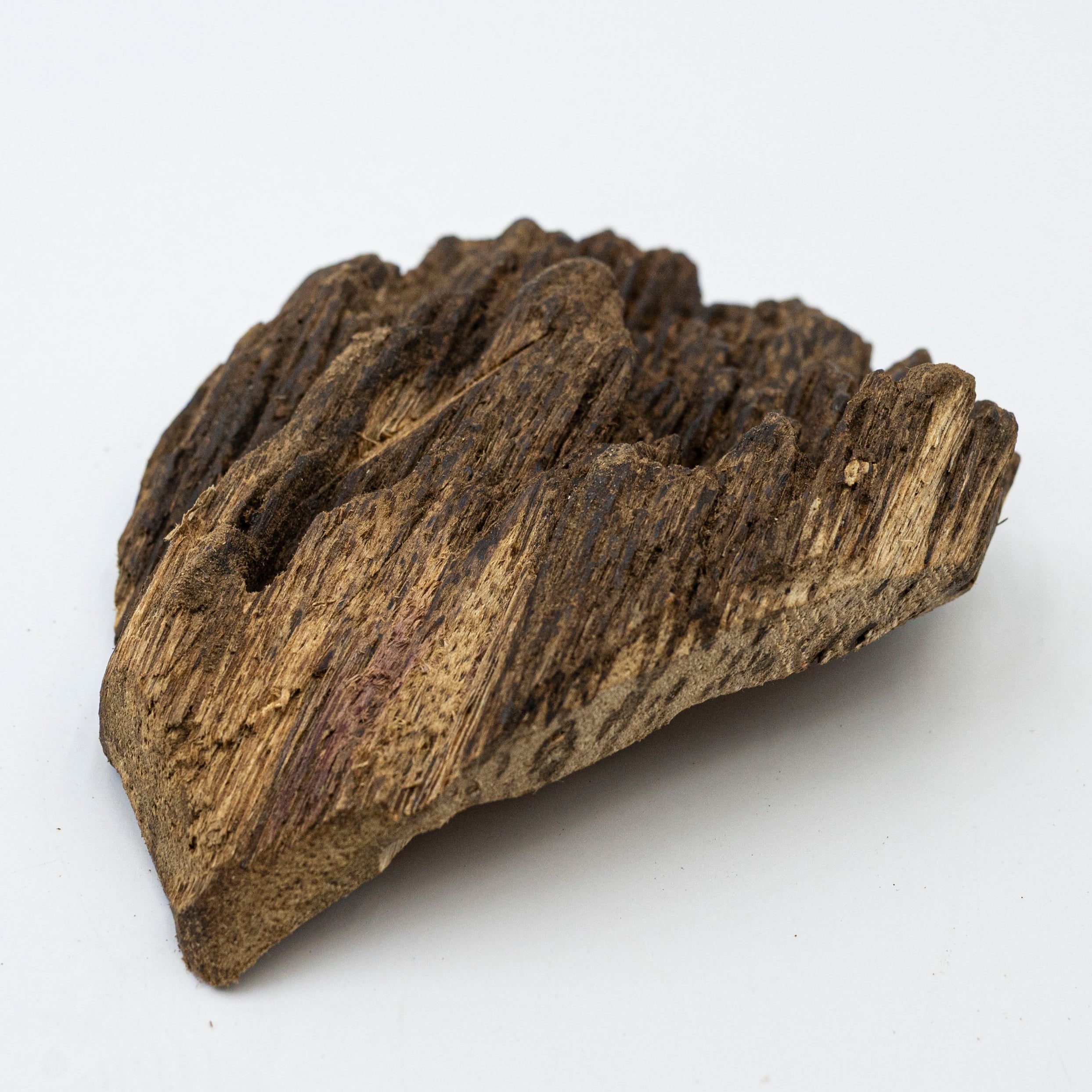 The Obsidian Core