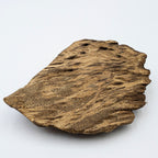 The Obsidian Core