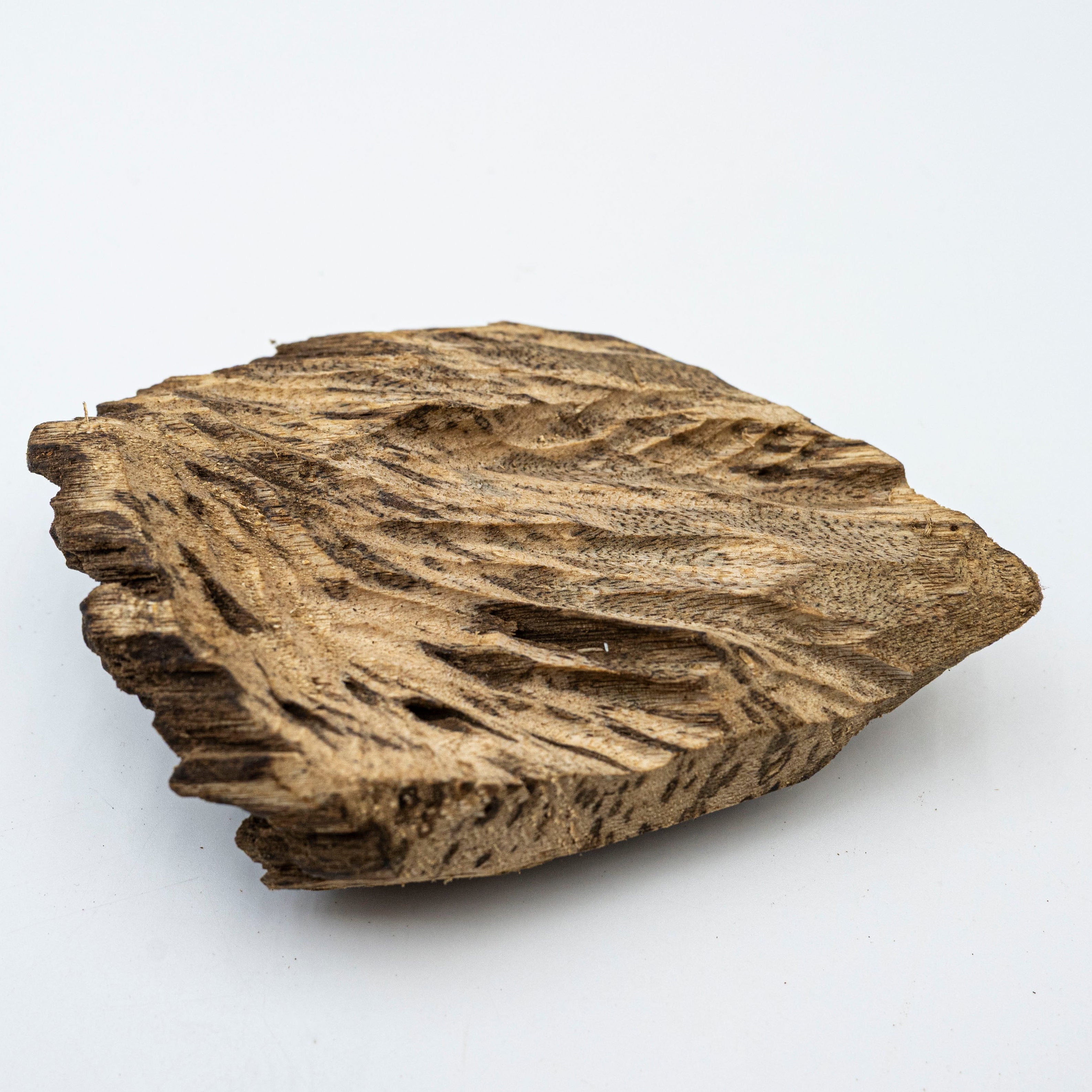 The Obsidian Core
