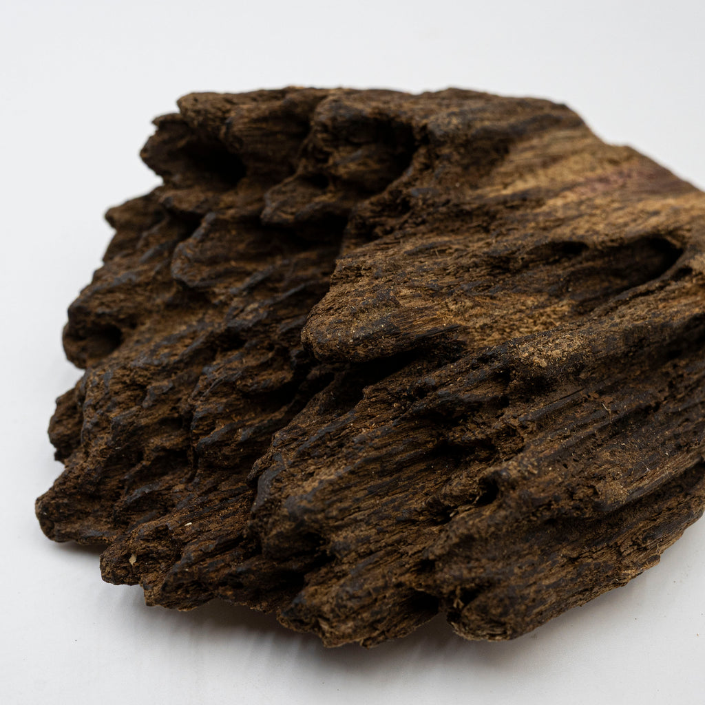 The Obsidian Core