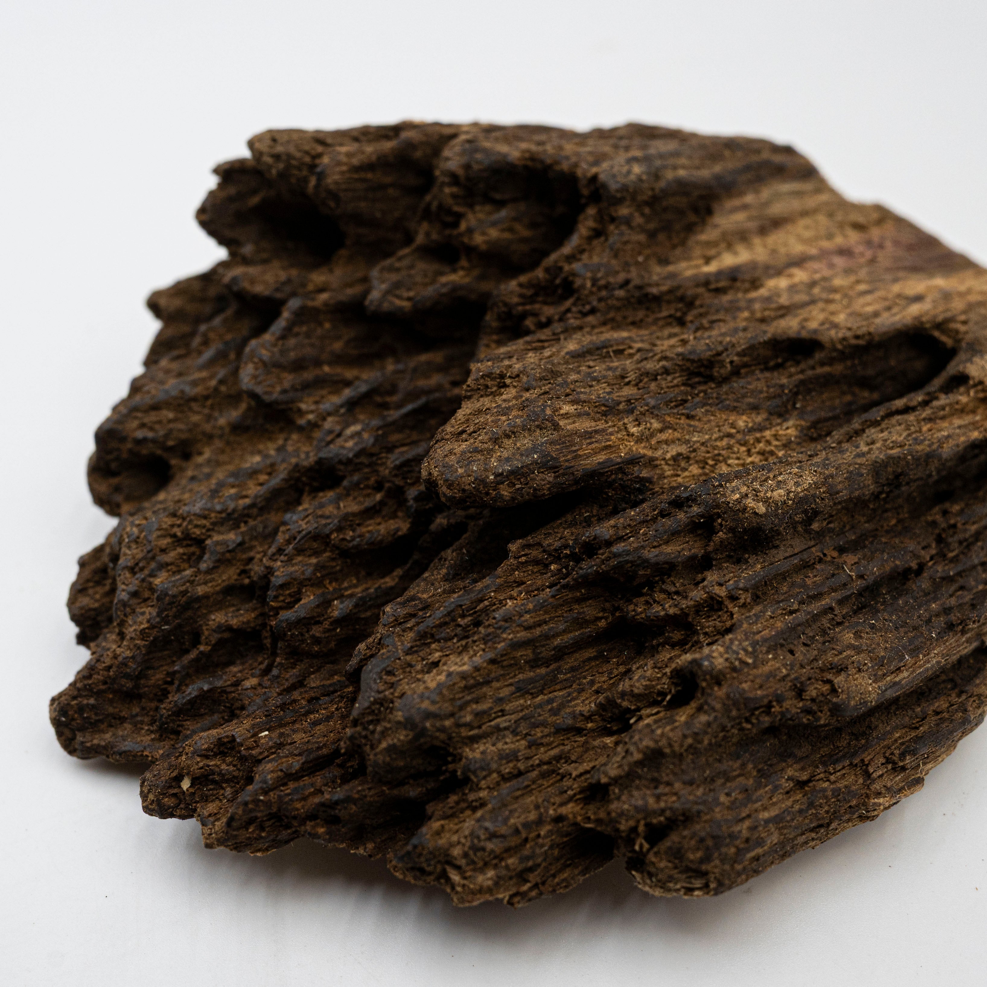 The Obsidian Core