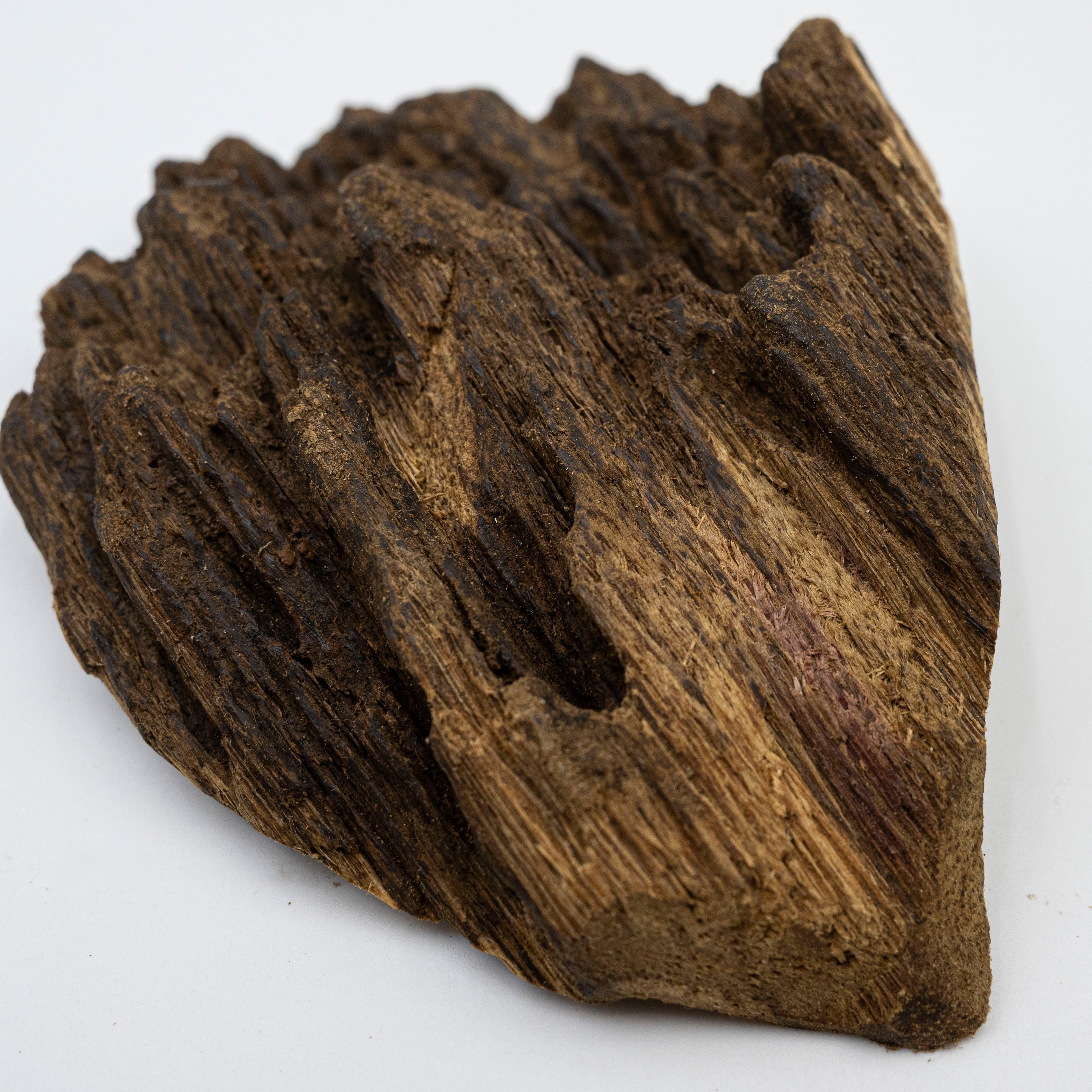 The Obsidian Core