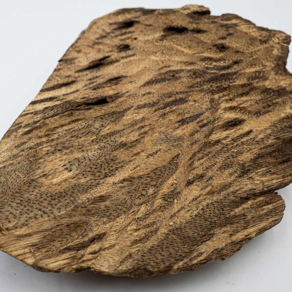 The Obsidian Core