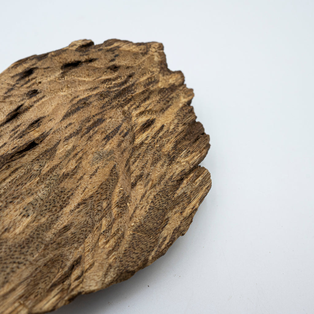 The Obsidian Core