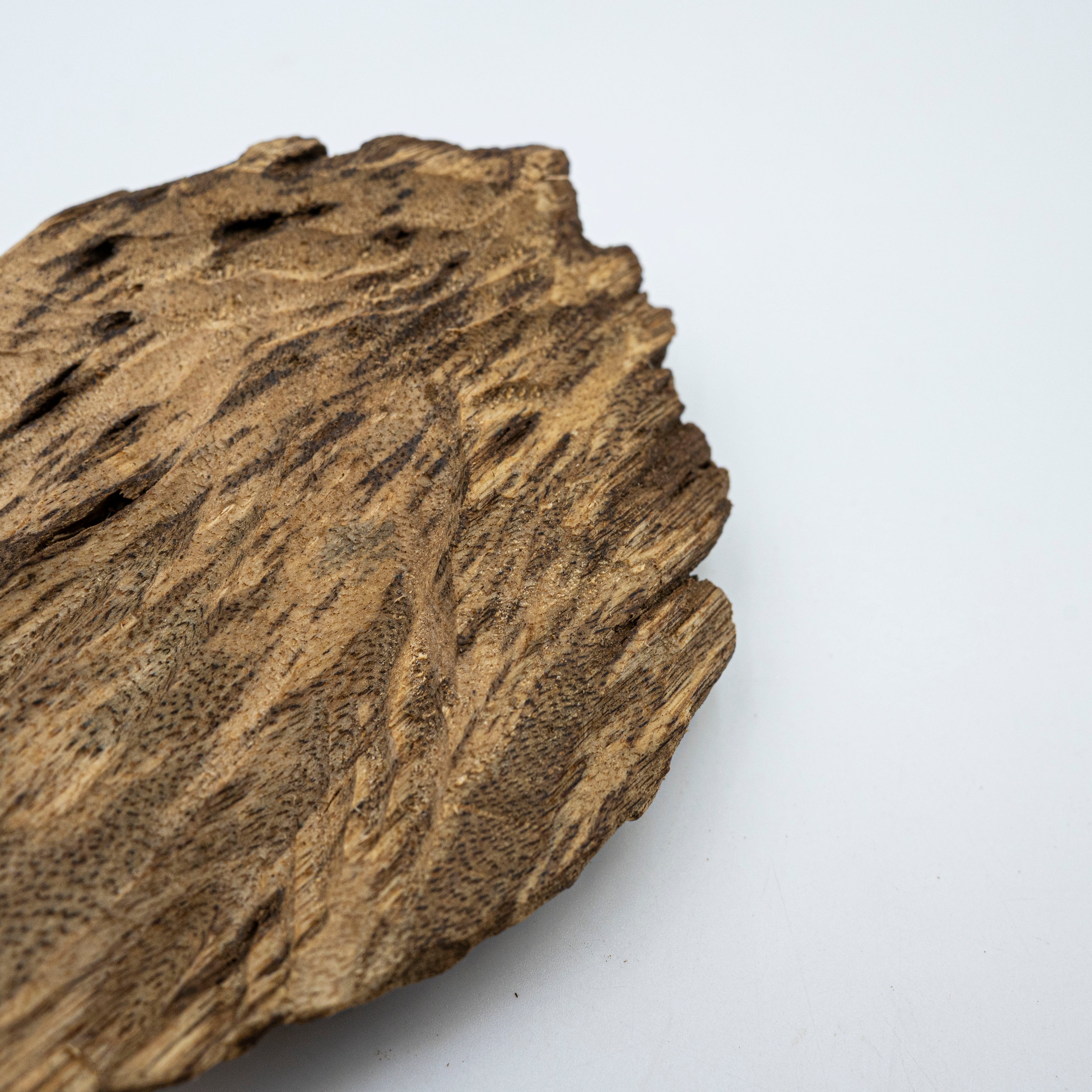 The Obsidian Core