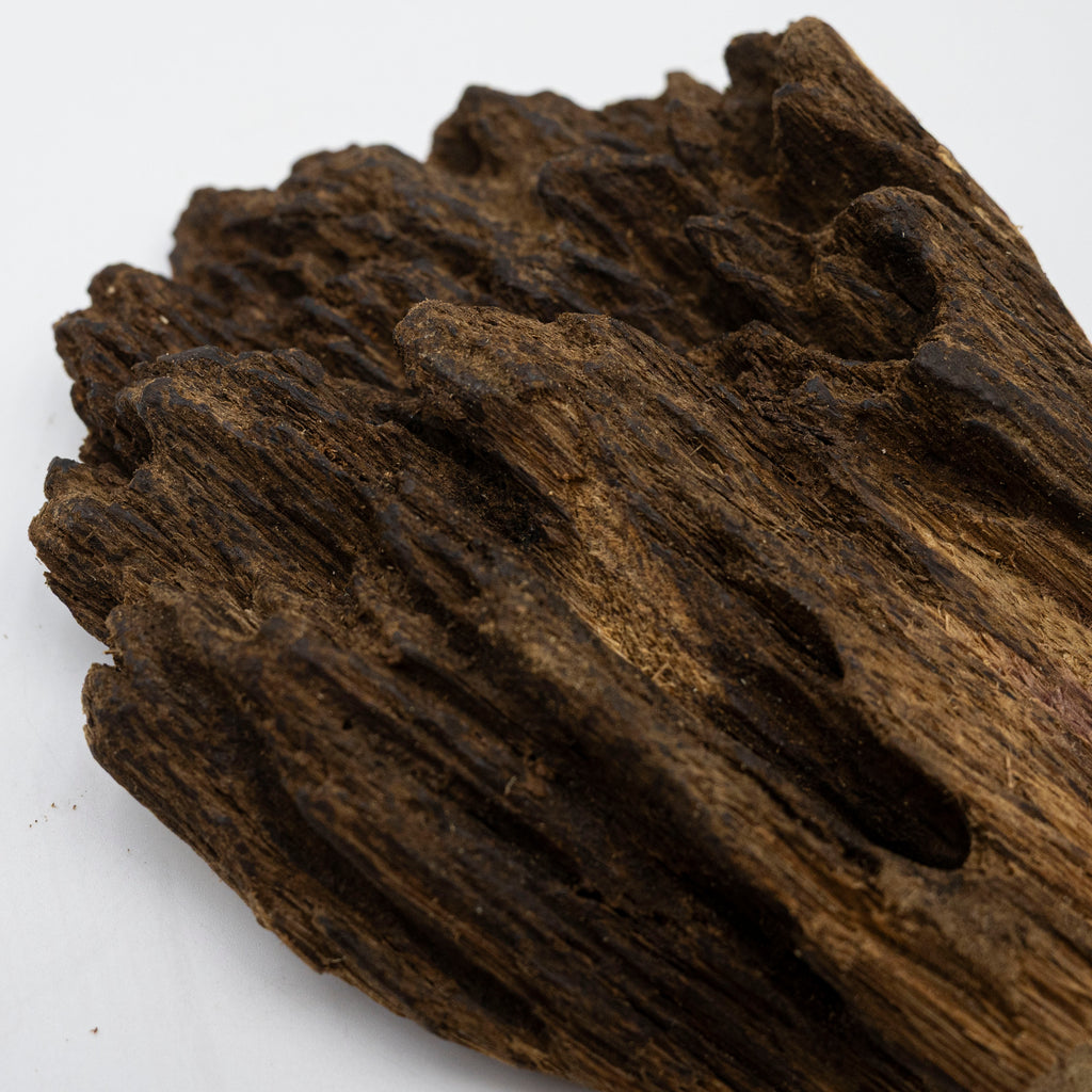 The Obsidian Core