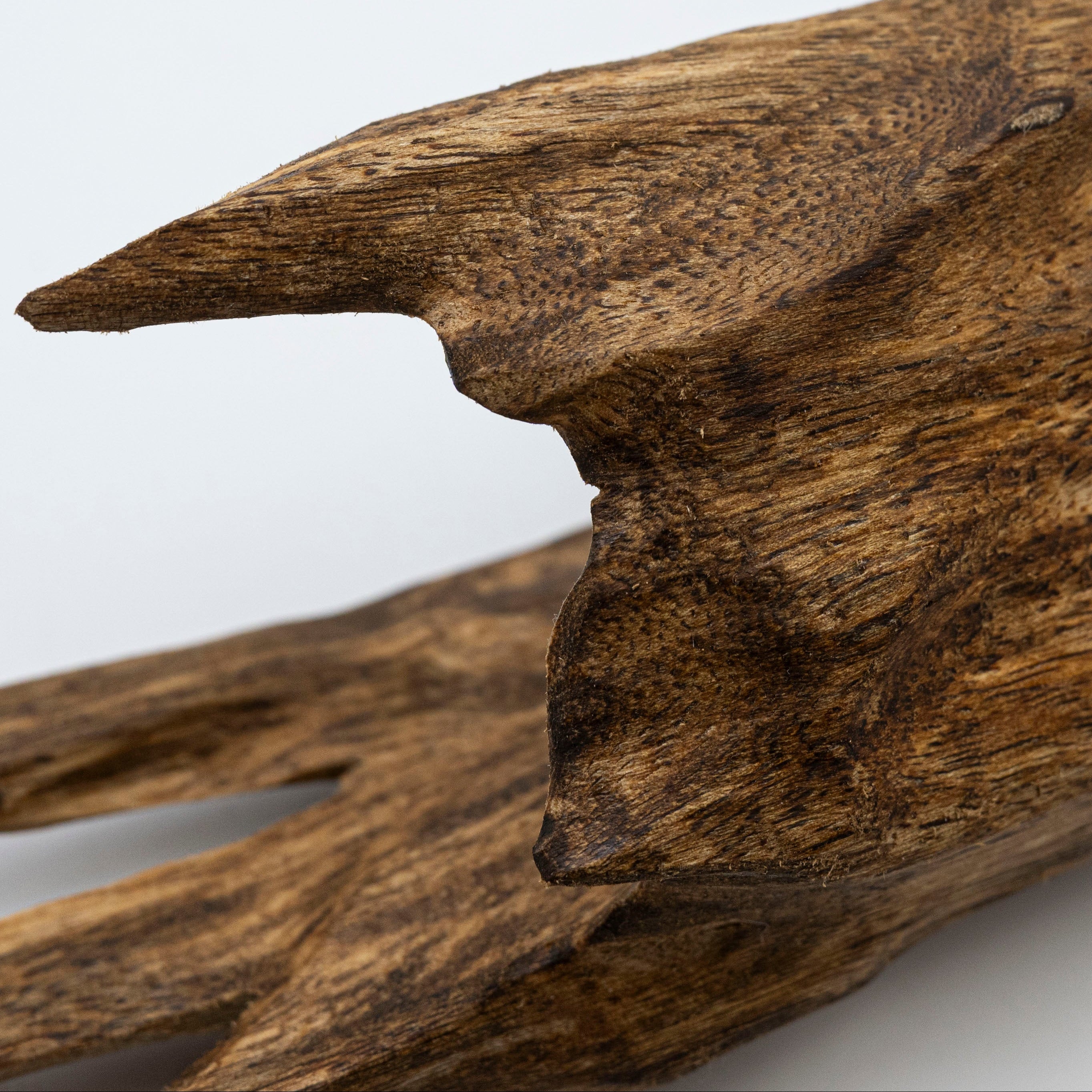 The Apex Claw