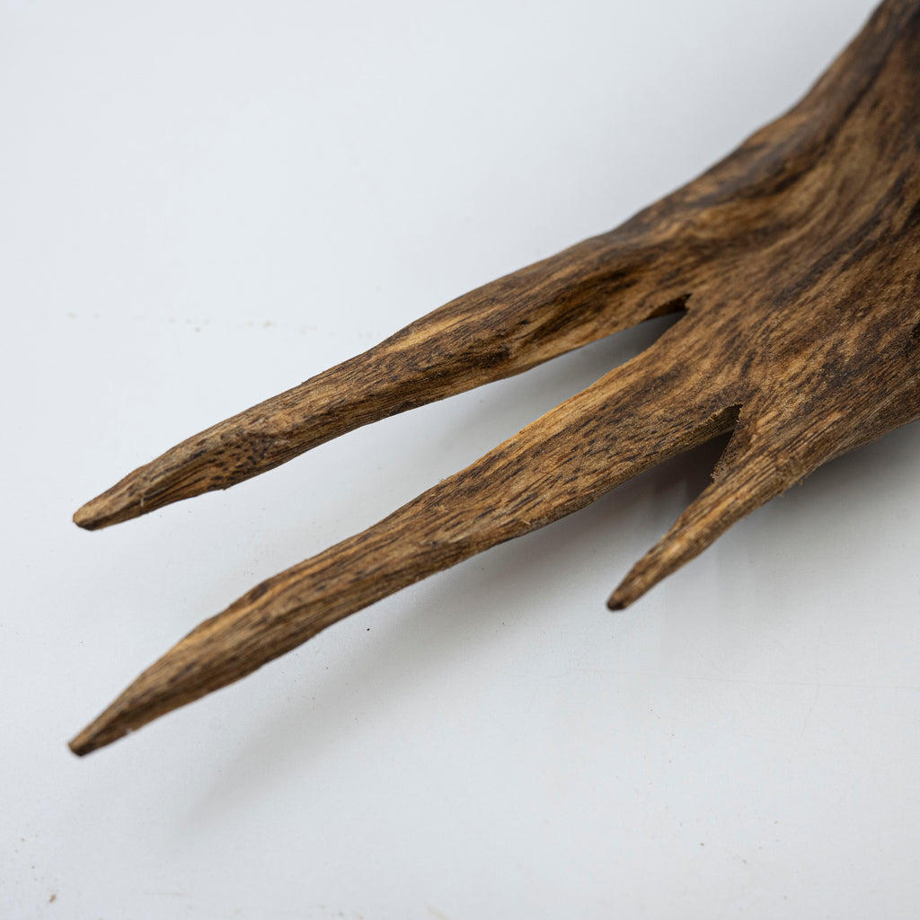 The Apex Claw