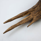 The Apex Claw