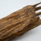 The Apex Claw