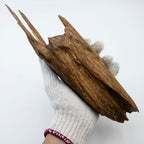 The Apex Claw