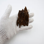 The Resin Core |  Natural Malaysia 98% Full Resin