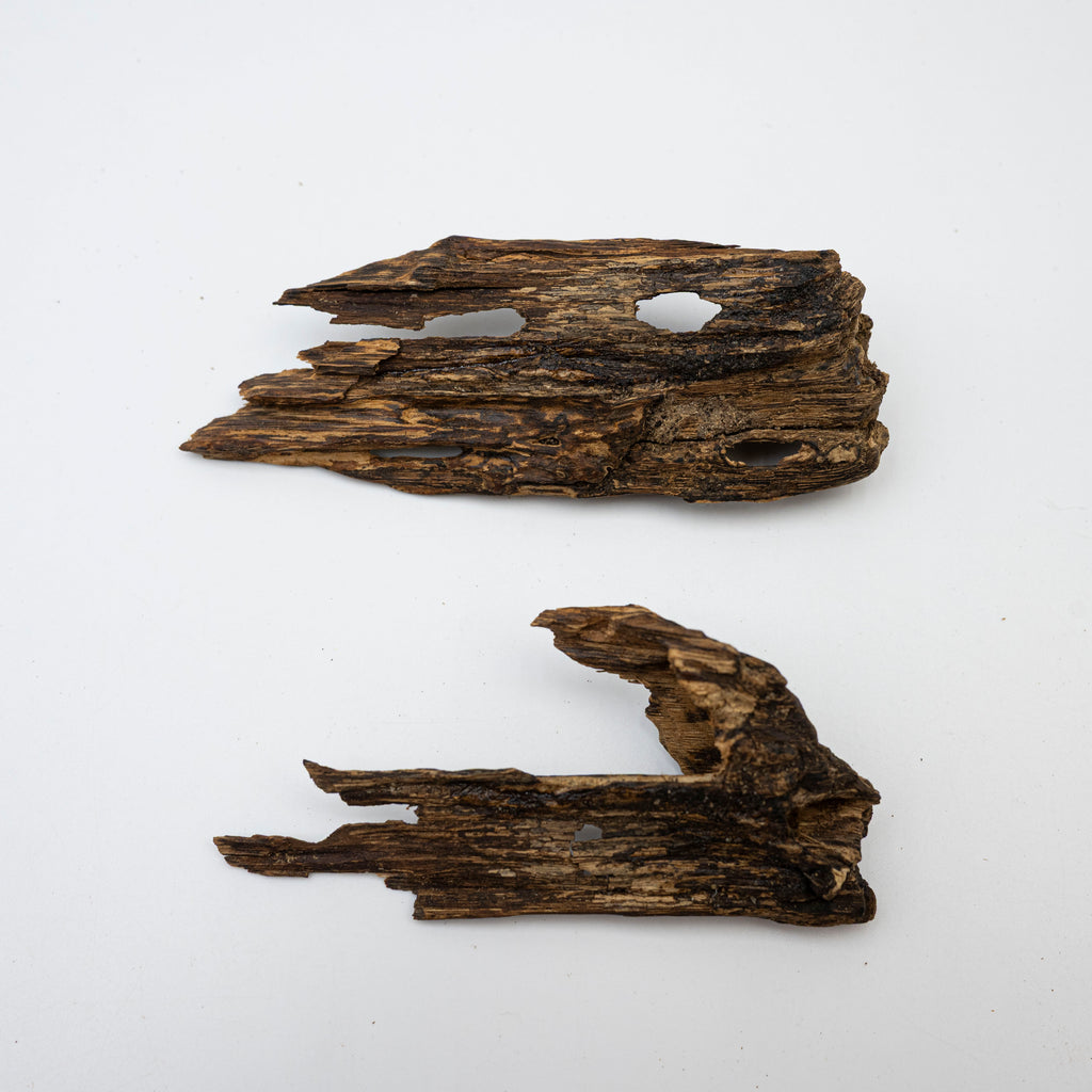 Deep Resin Shards