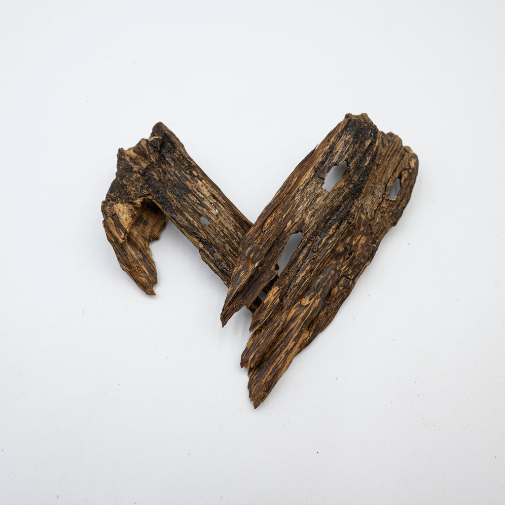 Deep Resin Shards