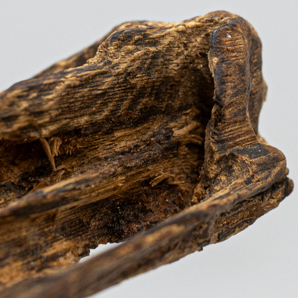 Deep Resin Shards