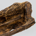 Deep Resin Shards
