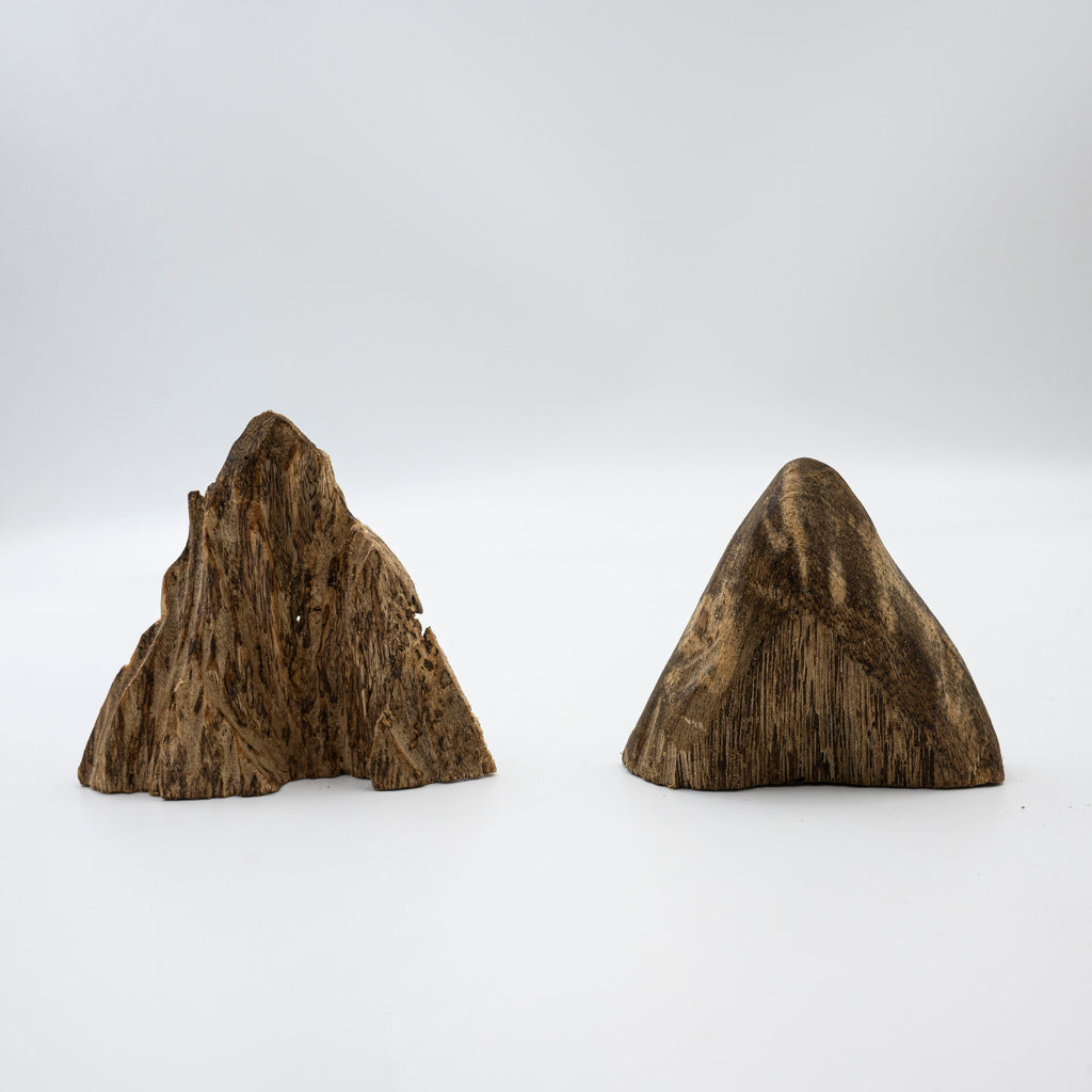 The Twin Peaks Oud Wood