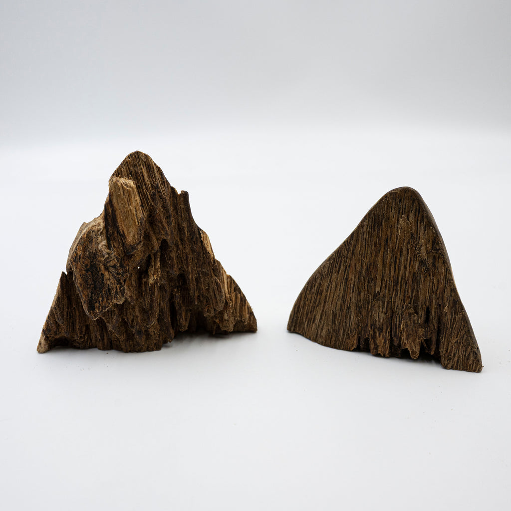 The Twin Peaks Oud Wood