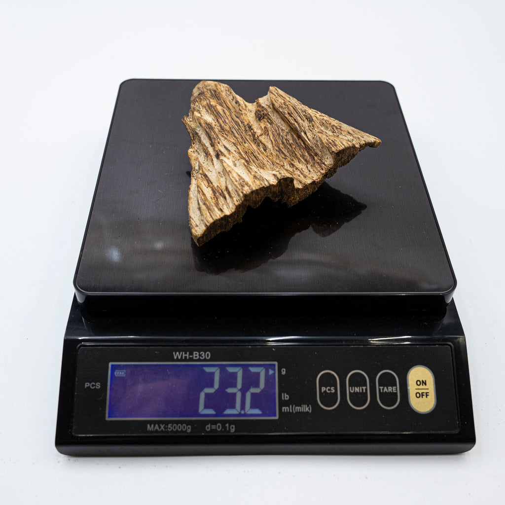 The Twin Peaks Oud Wood
